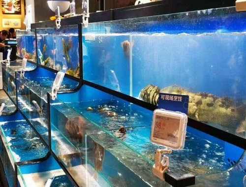 三门峡大型会务组织